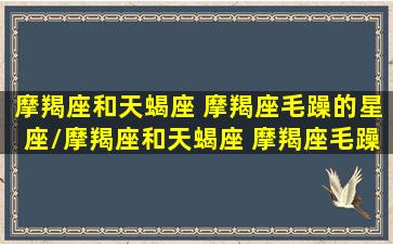 摩羯座和天蝎座 摩羯座毛躁的星座/摩羯座和天蝎座 摩羯座毛躁的星座-我的网站